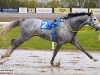 stormygrey0260