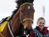 stormygirl1585