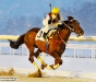 snowrunner3613