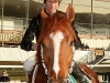donmarco0354