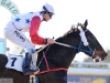 partycat5586
