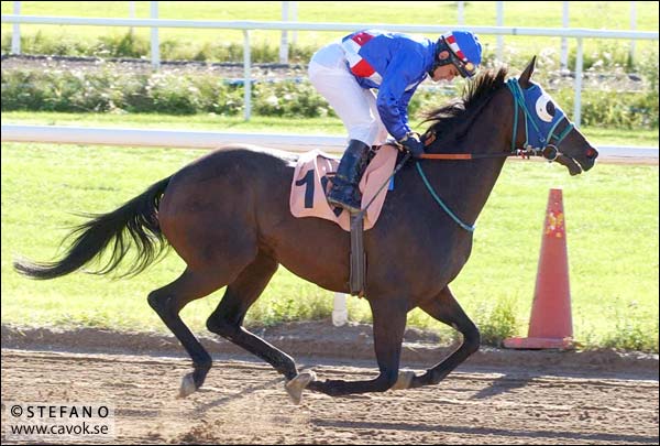 Bildfråga vecka 16 Bildfråga vecka 16