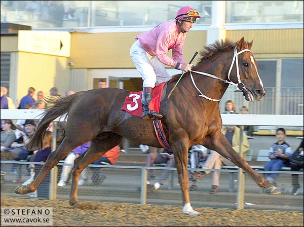 Bildfråga vecka 17 Bildfråga vecka 17