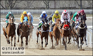 SöndagsKomb 5 april