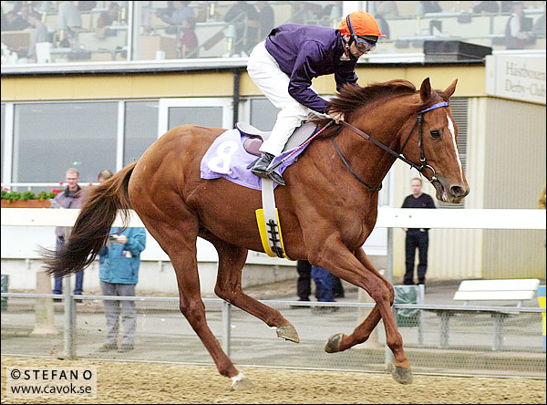 Bildfrågan vecka 19