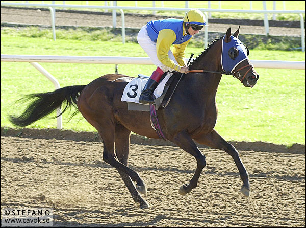 Bildfrågan vecka 20