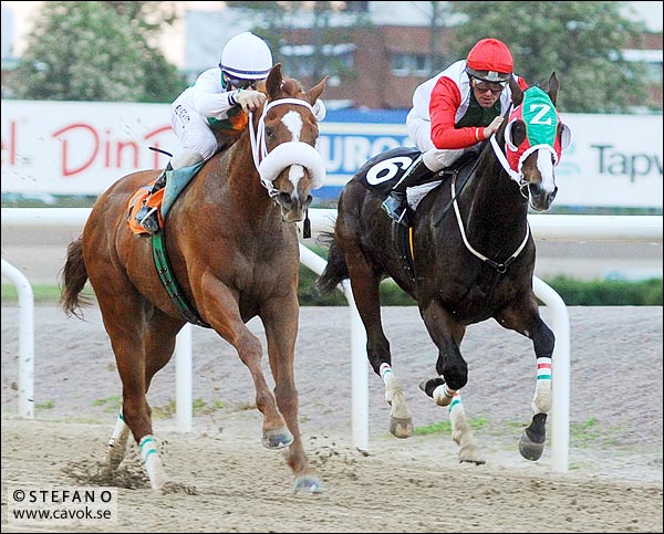 Tertio Bloom och Alcohuaz