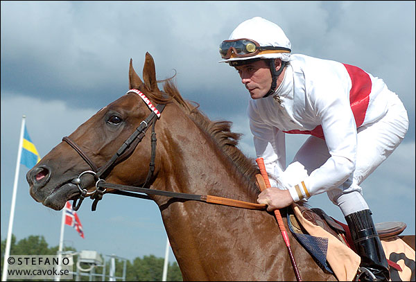 Bildfrågan vecka 23