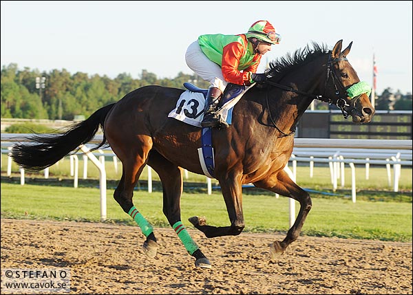 Bildfråga vecka 24 Bildfråga vecka 24