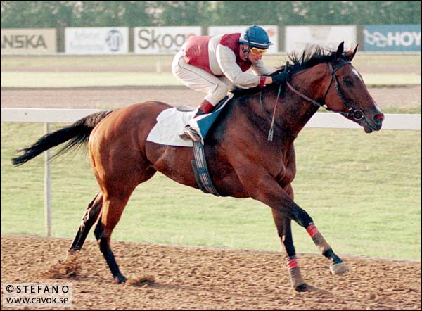 Bildfrågan vecka 27