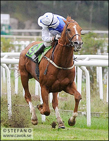 Appel Au Maitre Stockholm Cup 2008