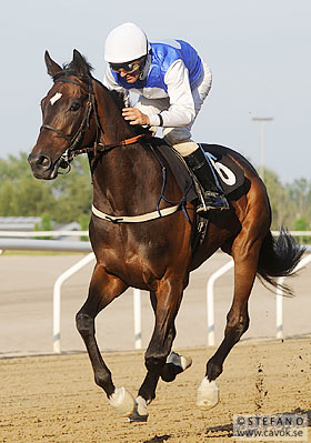 Handsome Hawk och Fredrik Johansson