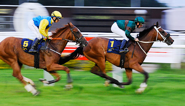 Weald och Manchester