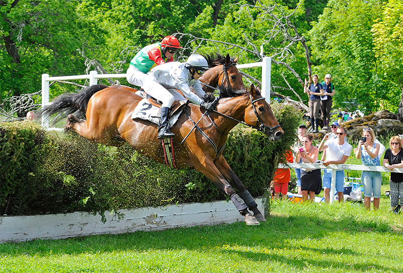 Grand National på Strömsholm